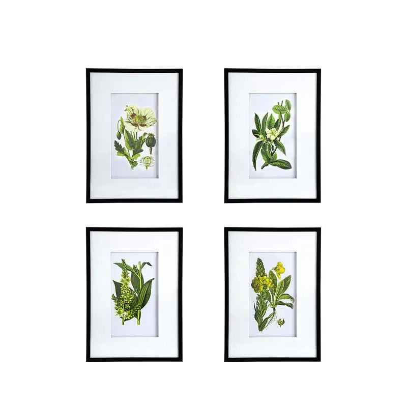 Hign Concerned Botanical Flower Wall Art Set for Home Decor