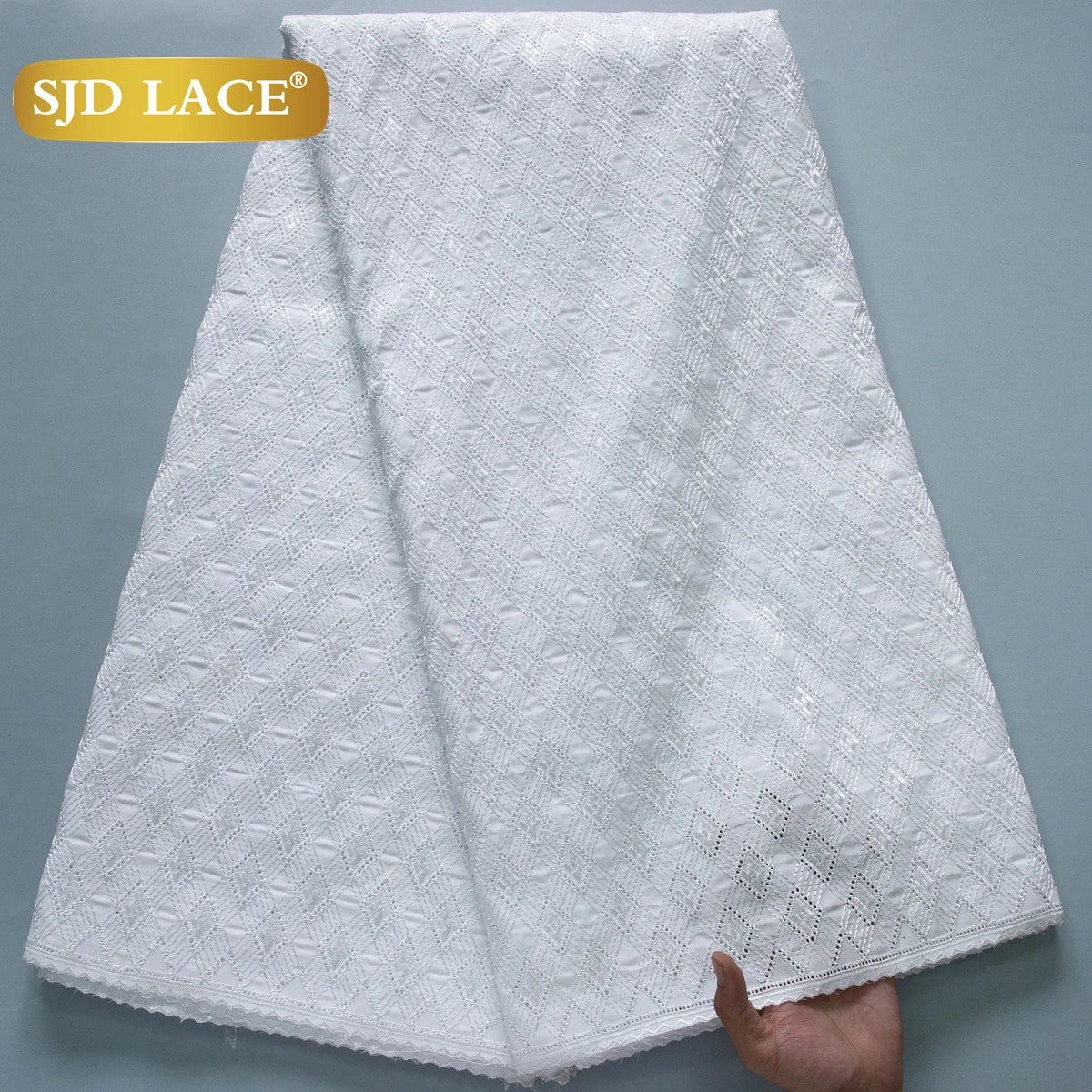 Breez Retail Therapy African Swiss Cotton Lace Fabric