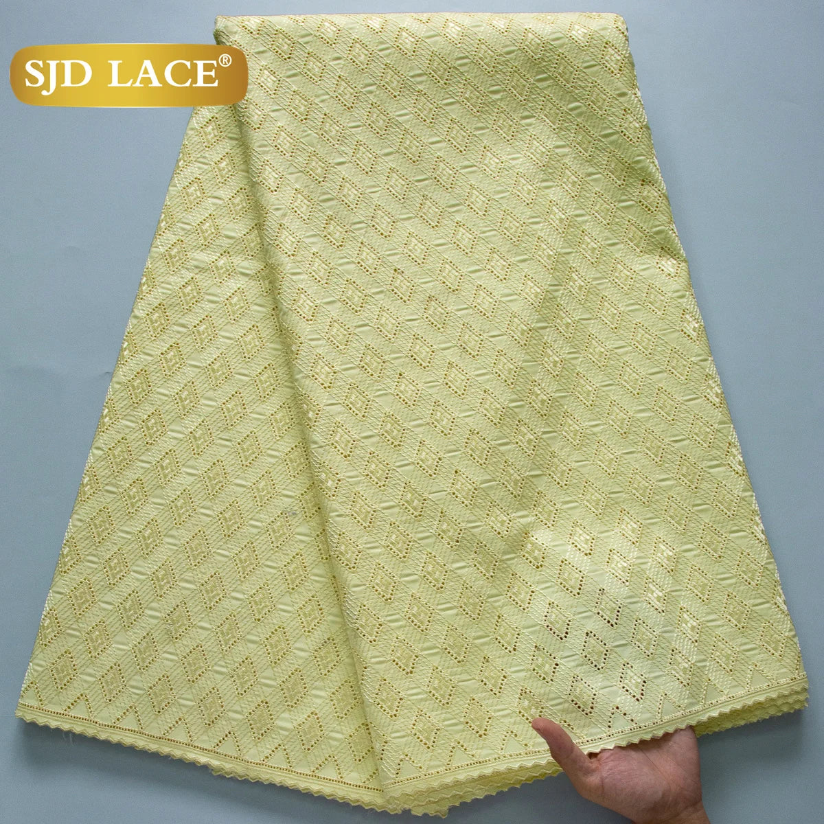 Breez Retail Therapy African Swiss Cotton Lace Fabric