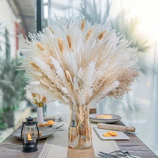 CN Zhejiang Pampas Grass Bouquet Natural Dried For Home Decor