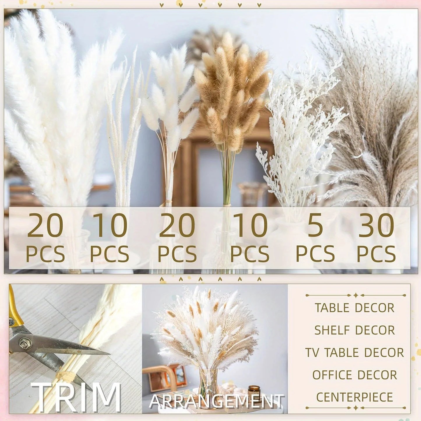 CN Zhejiang Pampas Grass Bouquet Natural Dried For Home Decor