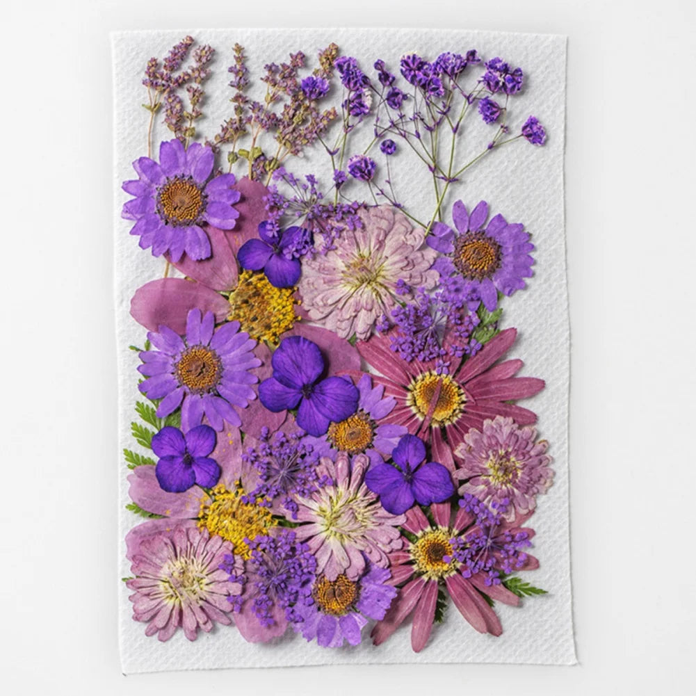 Hign Concerned Dried Flower Diy Pressed Specimens Decor