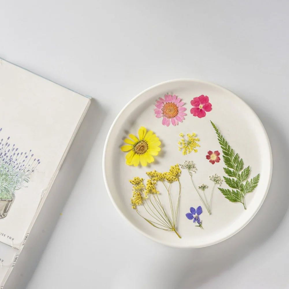 Hign Concerned Dried Flower Diy Pressed Specimens Decor