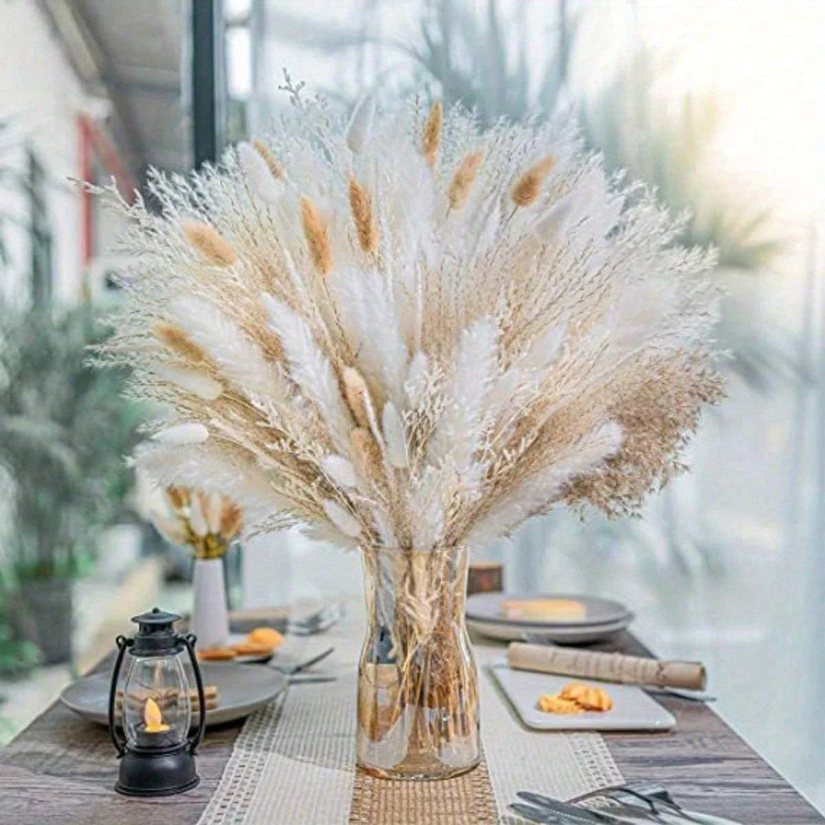 CN Zhejiang Pampas Grass Bouquet Natural Dried For Home Decor