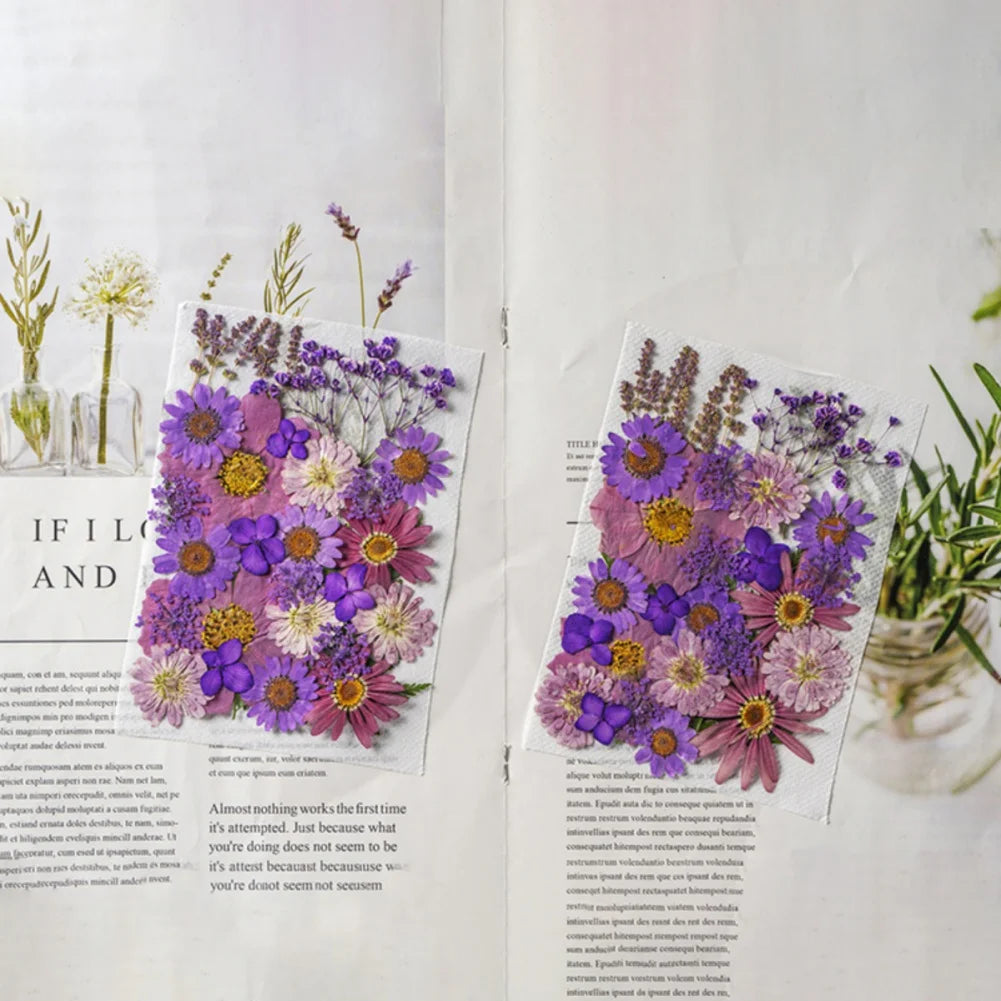 Hign Concerned Dried Flower Diy Pressed Specimens Decor